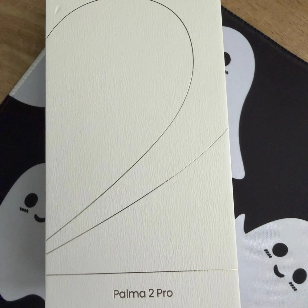 Boox Palma 2 pro